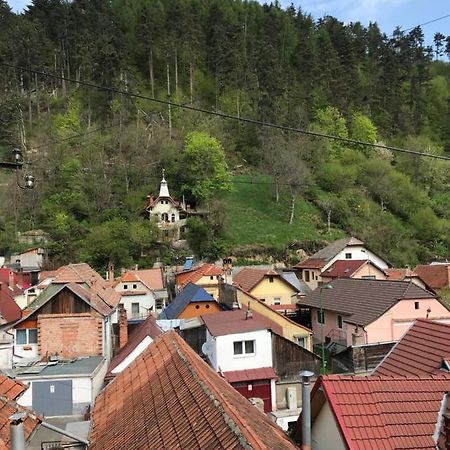 ブラショフ Casa Mountain Viewヴィラ エクステリア 写真
