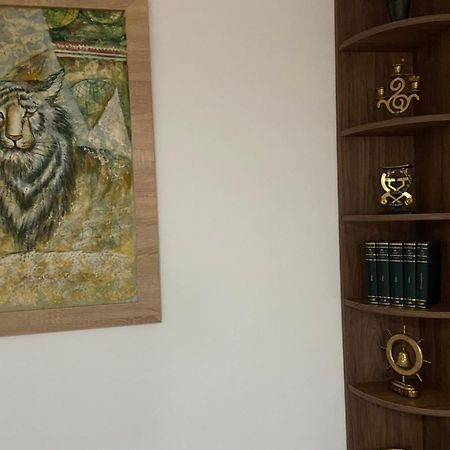 ブラショフ Casa Mountain Viewヴィラ エクステリア 写真