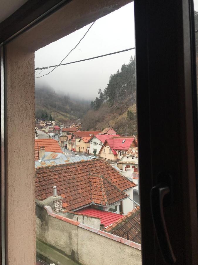 ブラショフ Casa Mountain Viewヴィラ エクステリア 写真