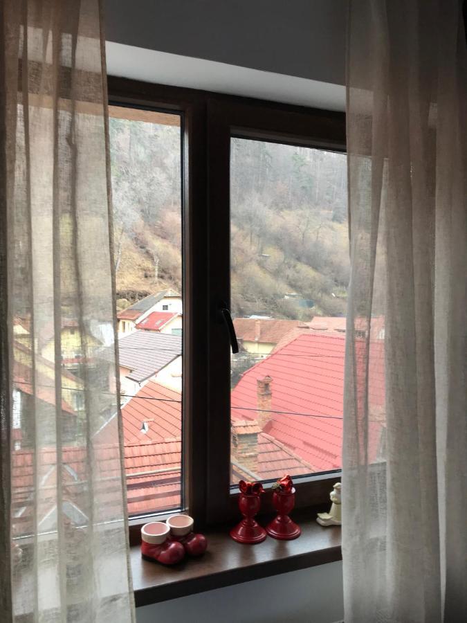 ブラショフ Casa Mountain Viewヴィラ エクステリア 写真