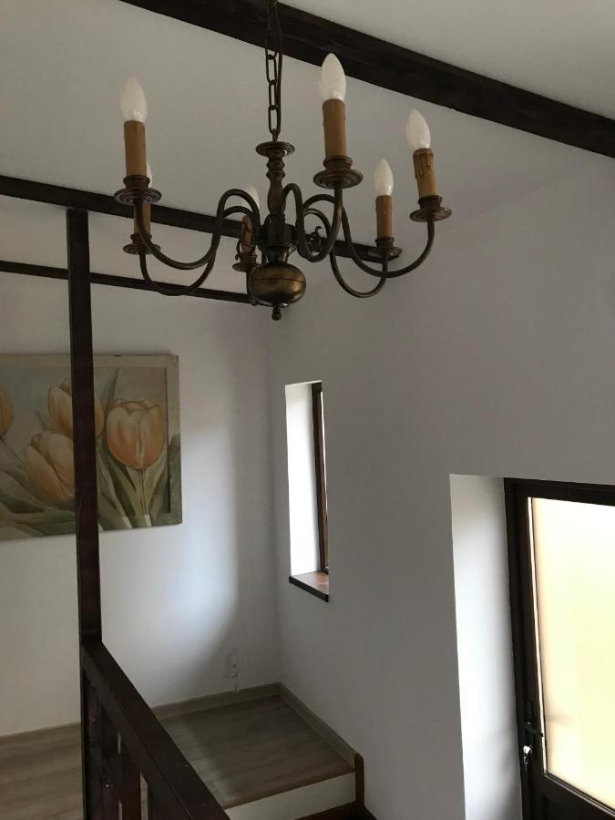 ブラショフ Casa Mountain Viewヴィラ エクステリア 写真