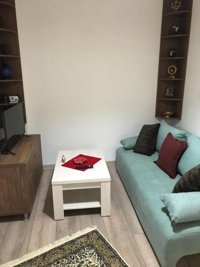 ブラショフ Casa Mountain Viewヴィラ エクステリア 写真