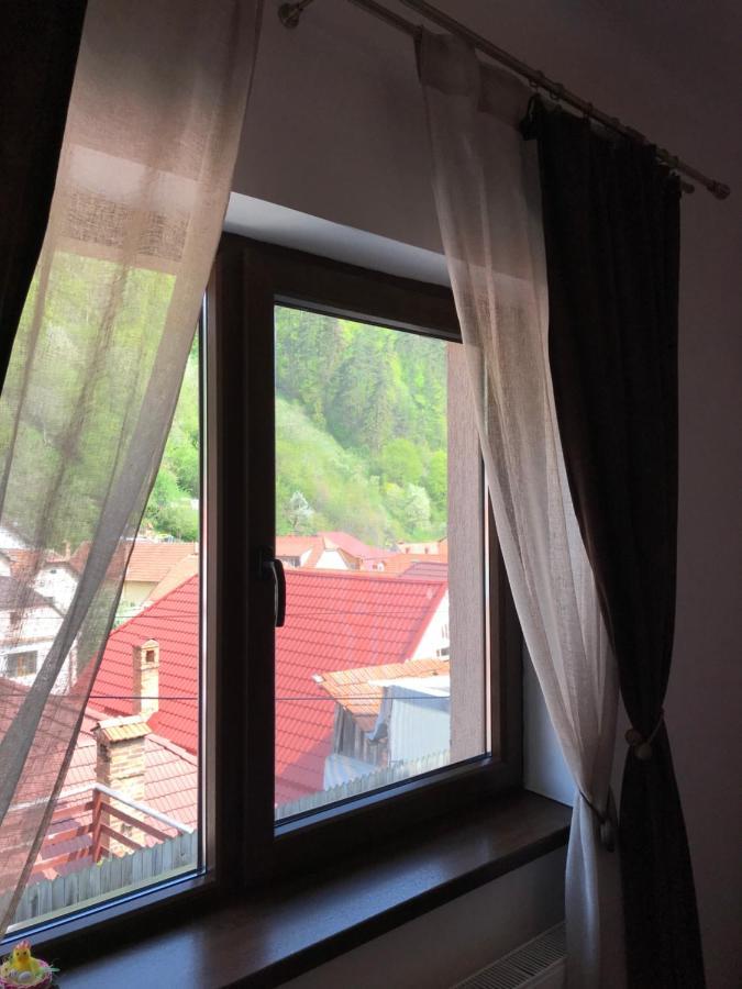 ブラショフ Casa Mountain Viewヴィラ エクステリア 写真