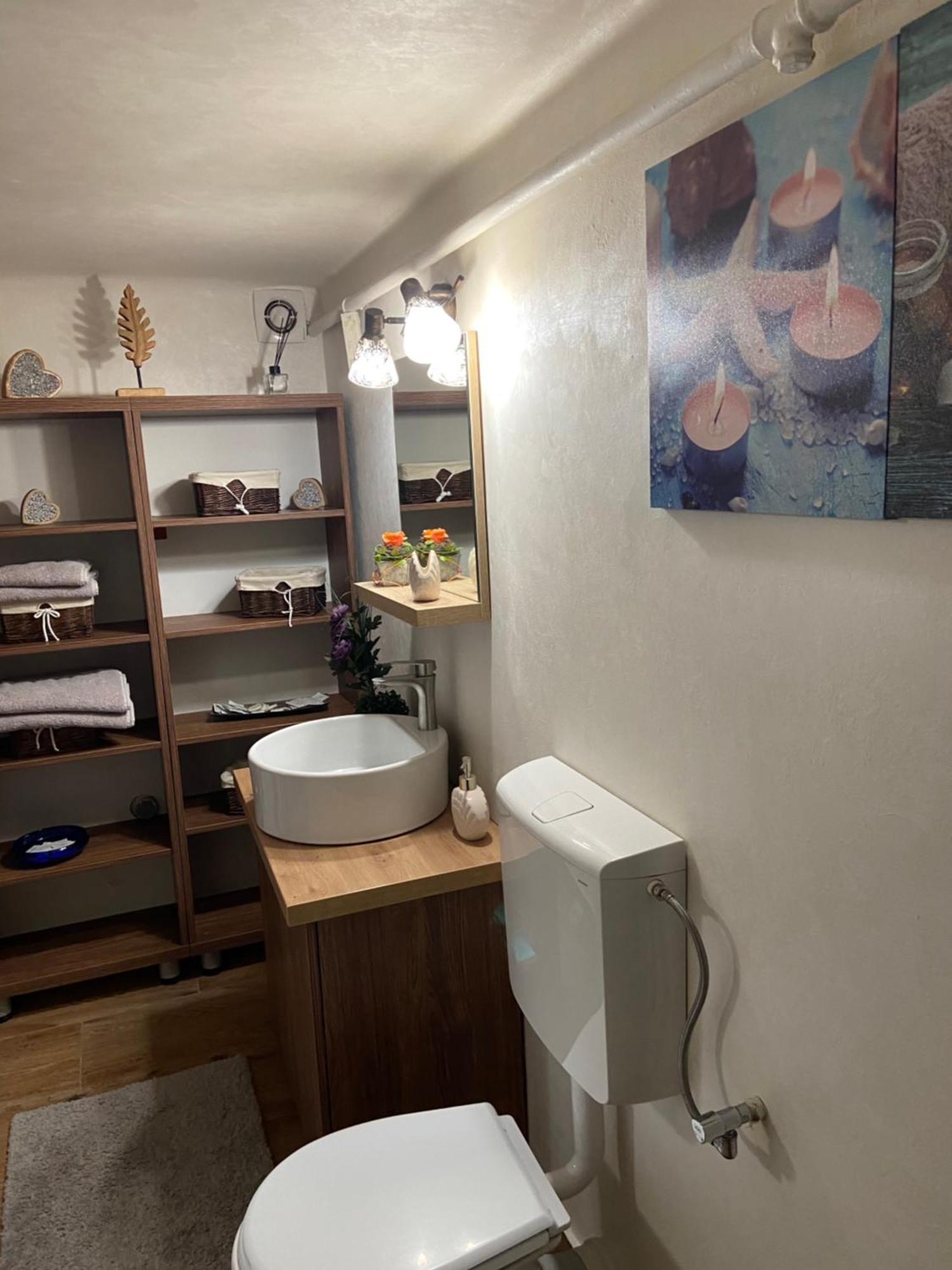 ブラショフ Casa Mountain Viewヴィラ エクステリア 写真